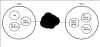 Picture 2.png