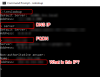 nslookup.png