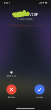 voip call.png