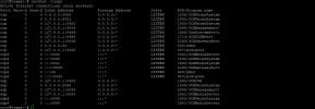 debian netstat 2021-09-28 154602.png