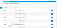 ChatOperatingHours Case 2 (Wordpress).JPG