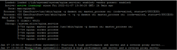 sudo service nginx status.PNG