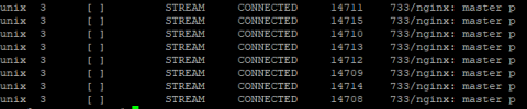 netstat -pano grep nginx.PNG