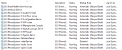 Delayed Start Services.png
