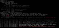 Debian10_buster_Nginx_error.png