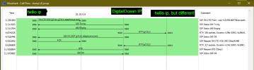 Wireshark Capture 2.png Wireshark Capture 2.png