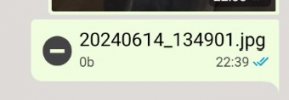Mobile app file-picture chat error.jpg