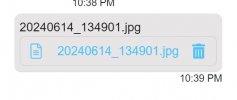 Web Client app file-picture chat error.jpg