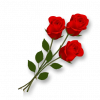 1719984435583.png