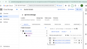 google-transcritpion.PNG