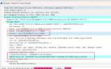 wireshark.png