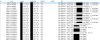 wireshark.png