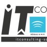 IT CONSULTING