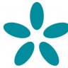 Tecnico TII