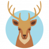 casey_kitko