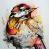 sparrow