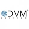 Alessandro-DVM