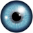 loop3r