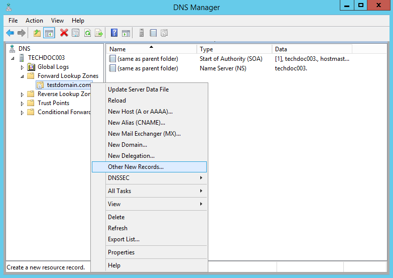 DNS Manager