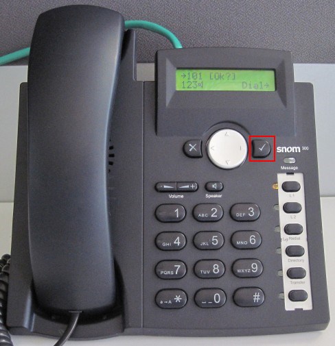 make calls snom 300