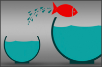 Don't miss the WP-Live Chat Plugin Latest version