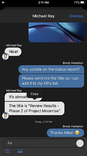 New iOS Beta app with Chat copy capability.