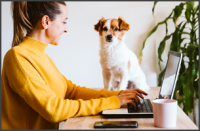 tips for working remotely