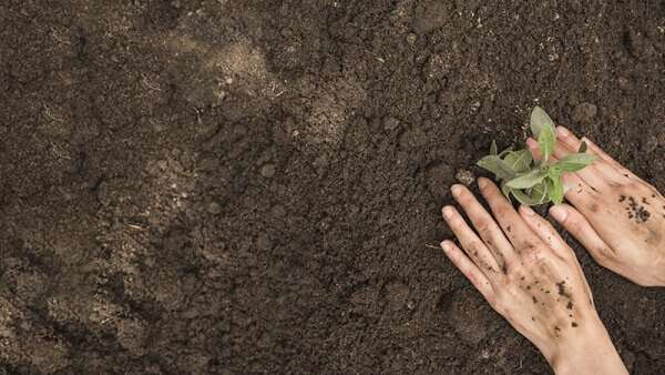 Woman planting embed your learnings