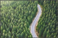 evergreen content will drive you forward