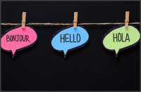 STT voice services