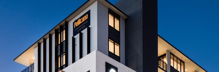 pellicano pellicano