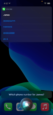 iPhone Screen to choose which number to make the call to using Siri
