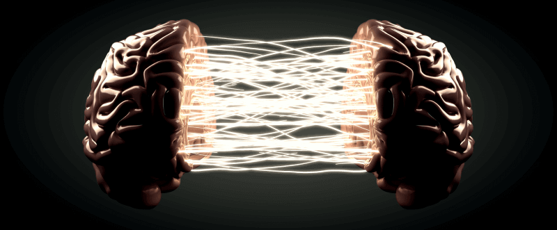 Human brain split into two hemispheres