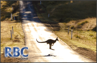 RBC Group - Case Study