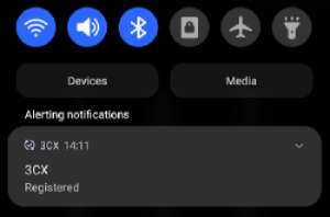 Keep your 3CX Android App Active after reboot Keep Active after reboot - 3CX Android App