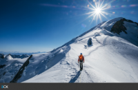 Update 1: Faster Backup & Restore, Pipedrive CRM